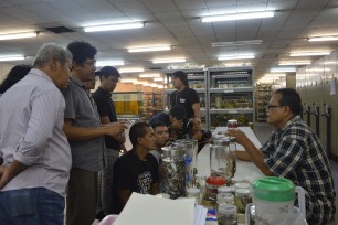 Media Visit Spesies Katak Baru